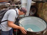 Alerta sanitaria en Yopal por incremento de casos de Dengue