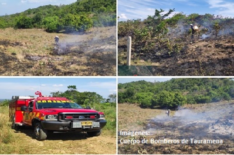 Con la temporada de calor llegan los incendios forestales