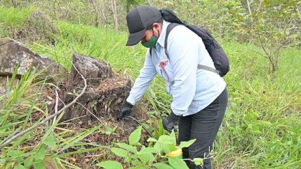 Ecopetrol adelanta labores de reforestación en la cuenca del río Cravo Sur