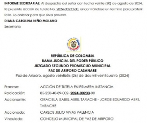 Juzgado negó Acción de Tutela contra el concejal de Paz de Ariporo, Carlos Vivas