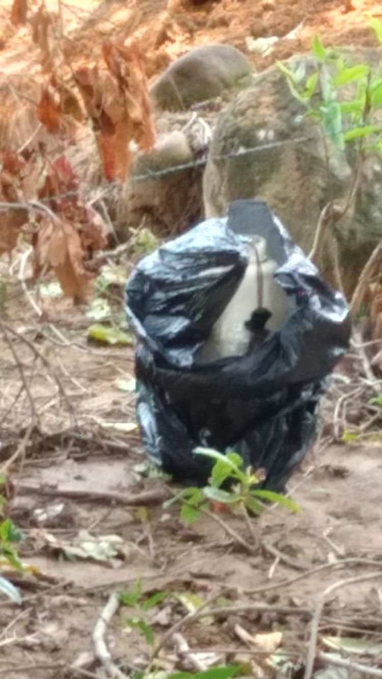 Tres niños confundieron un artefacto explosivo con un juguete en Tame, Arauca