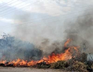 No cesan los incendios forestales en Casanare