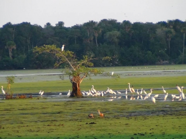 Llano Tours promueve concurso de ‘Fotografía Llanera’