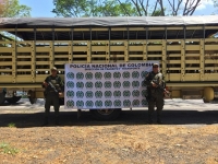 Incautados 20 semovientes bovinos en la vía a Paz de Ariporo