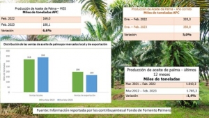 Producción de aceite de palma creció un 5.3% durante el primer trimestre de 2023