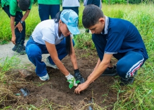 Plantación de árboles fortalece cobertura vegetal en jornada ambiental