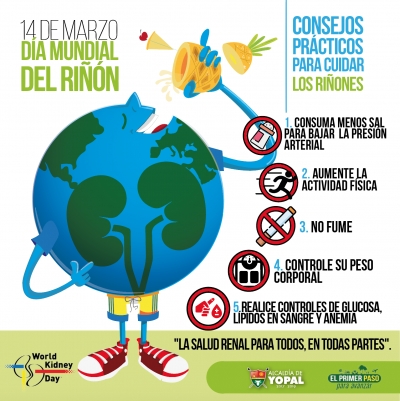 Hoy, Día Mundial del Riñón