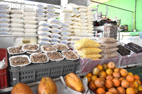 Alcaldía de Yopal dice que si hay abastecimiento de productos en la Central de Abastos