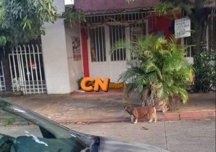 Hombre asesinado en la calle 27 presentaba antecedentes penales