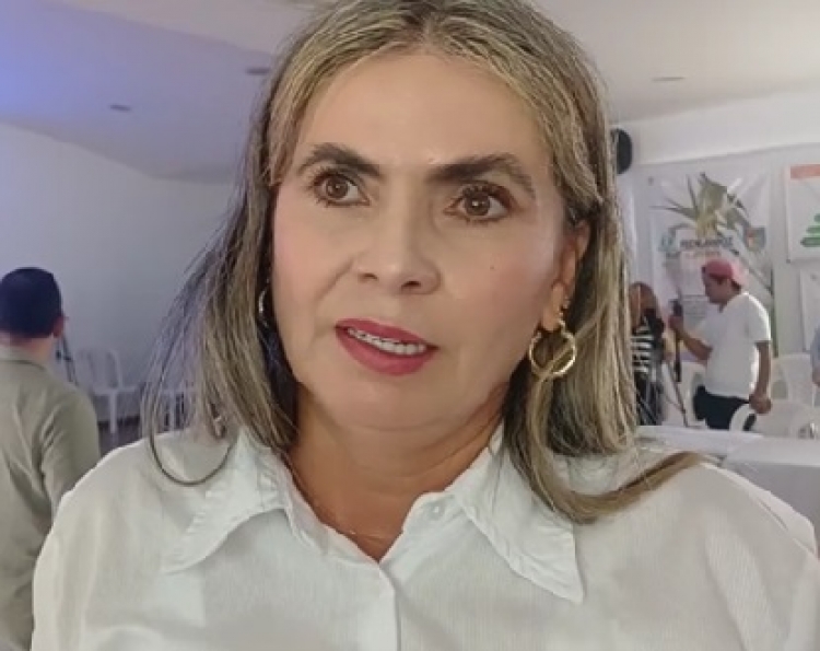 Casanare tiene asegurado el suministro de gas natural para este año: Gerente de Enerca