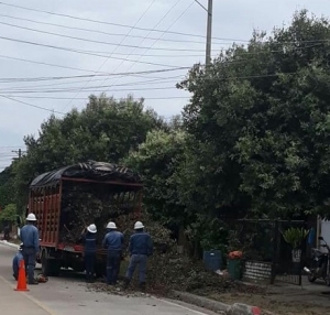 Sin luz varios sectores de Yopal este jueves