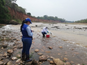 Tratamiento de aguas en la PTAR no ocasiona muerte de peces en río Charte: EAAAY