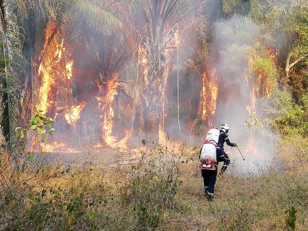10 municipios de Casanare en alerta roja por alto riesgo de incendios forestales