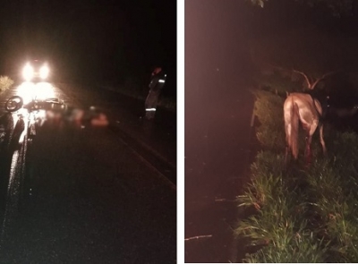 Maestro de construcción perdió la vida en accidente de tránsito