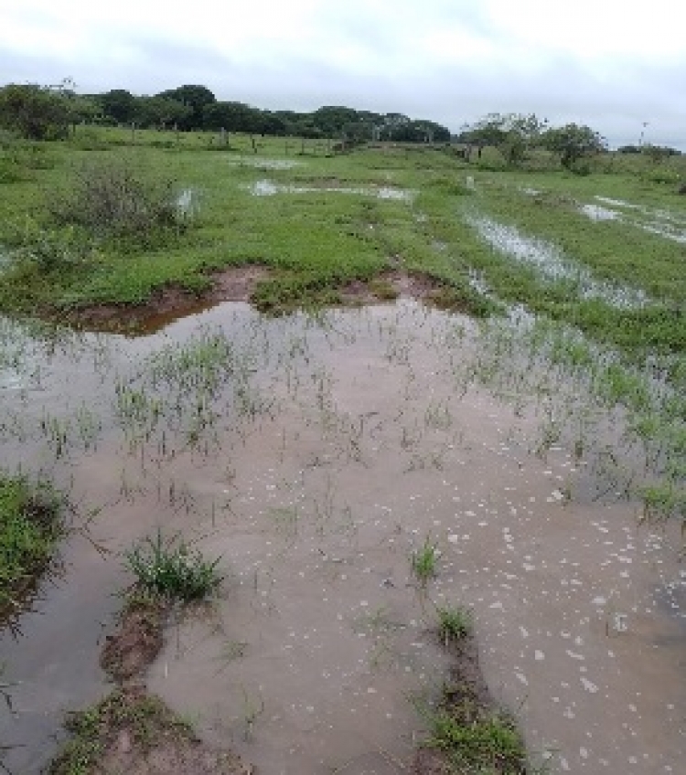 Sentencia judicial ordenó devolver el carácter de vía pública a carretera terciaria en zona rural de Paz de Ariporo