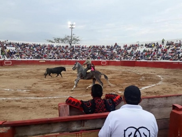 Toro sacrificado en Aguazul reabre debate sobre las corridas de toros en Colombia