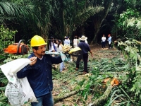 Denuncian daños ambientales en Tilodirán por Colombia Energy