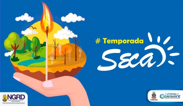 Todo lo que necesita saber sobre incendios forestales