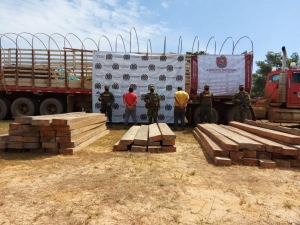 Decomisado cargamento de madera ilegal en Vichada