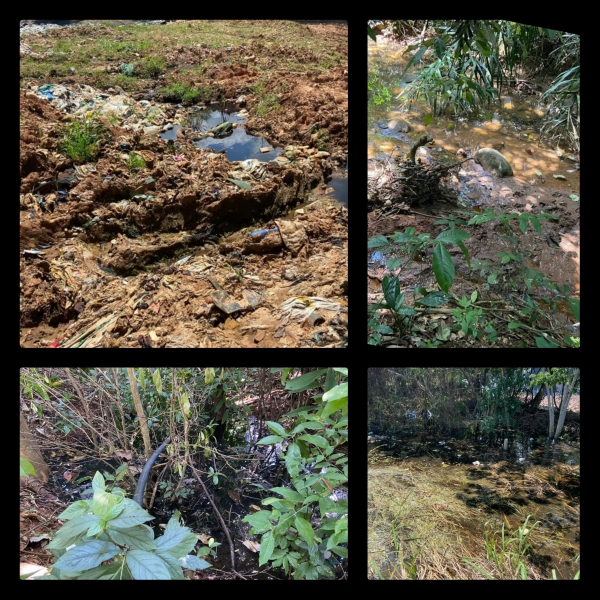 Contaminación a los caños La Arenosa y La Perra, denuncia comunidad de la vereda Sevilla