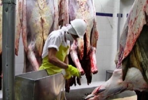 No estoy favoreciendo a ningún proponente de la Planta de Beneficio Animal: Leonardo Puentes