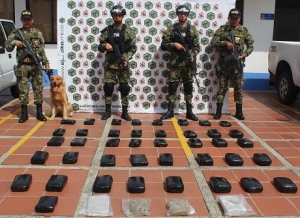 En una buseta para Yopal, canino del Ejército detectó marihuana
