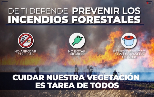 Prevenir incendios forestales en Yopal, tarea de todos