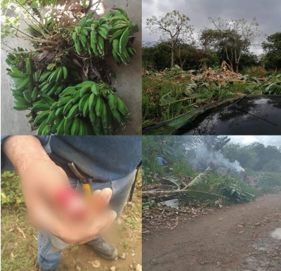 Hombre fue atacado con machete en el barrio Brisas del Usivar de Yopal por unos cultivos