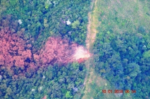 Ante atentados en Arauca y Casanare, se suspenden diálogos con el Eln