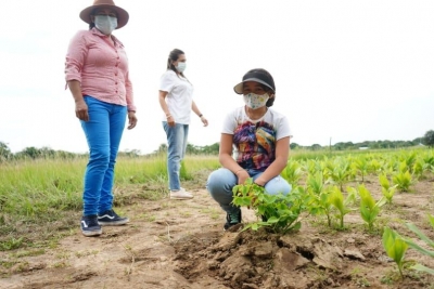 Ejército Nacional apoya la construcción de huertas comunitarias en Yopal