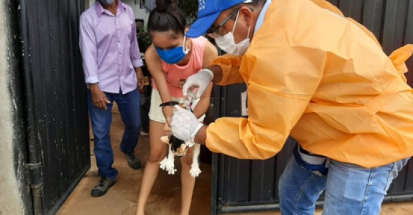 La Secretaría de Salud NO está realizando esterilizaciones a mascotas