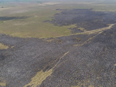 Controlan incendio forestal en el sector Hato Barley de Tauramena