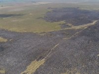 Controlan incendio forestal en el sector Hato Barley de Tauramena