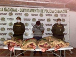 Capturado por transportar 110 kilos de carne de res sin la documentación