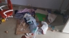 Ladrones vienen haciendo de las suyas en los locales de La Herradura