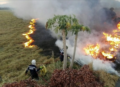 Incendios forestales han consumido más 2 mil hectáreas en Casanare