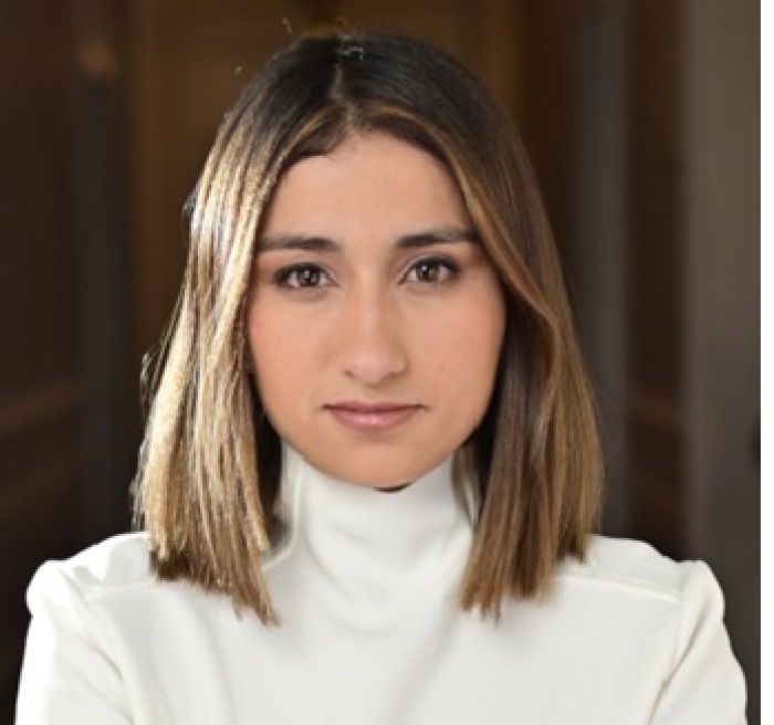 ¿Por qué renunció la canciller Laura Saravia?