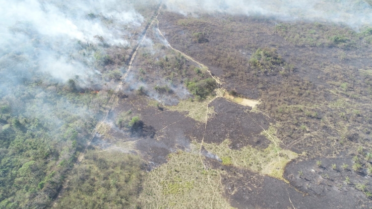 Incendio forestal dejó graves consecuencias ambientales en la finca El Remanso