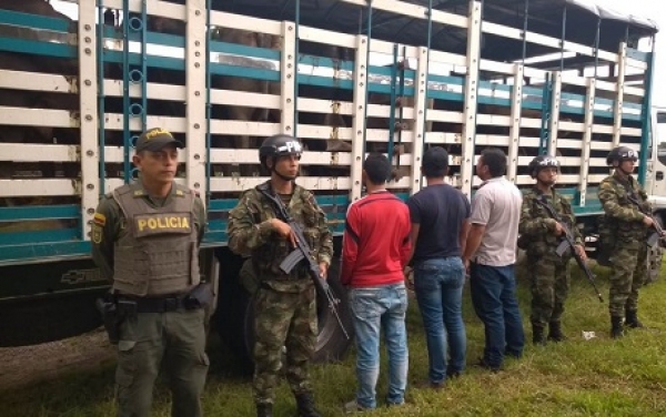 En Yopal, recuperadas 15 reses y capturadas tres personas que venían de Arauca