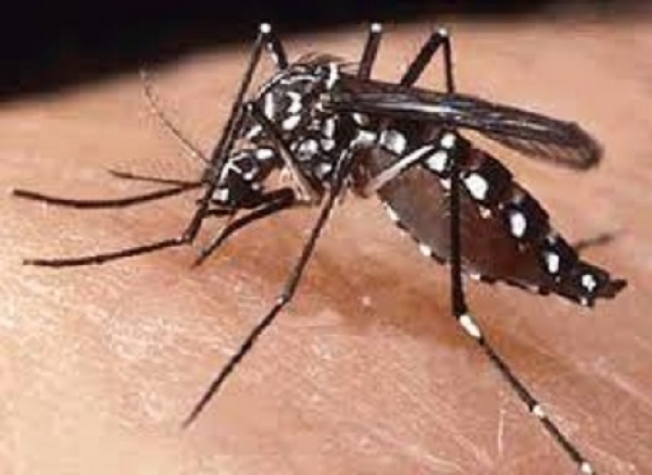 Plan de contingencia activado para síntomas de Dengue e IRA