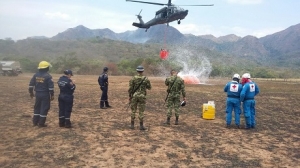 Fuerza Aérea lideró extinción del incendio en el Cerro El Venado
