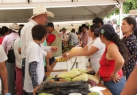 Casanare, primer departamento en aprobar el plan de extensión agropecuaria del país