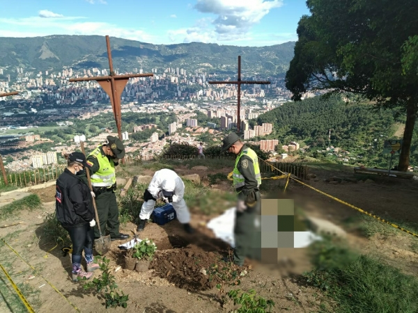 Investigan muerte masiva de gatos en Medellín