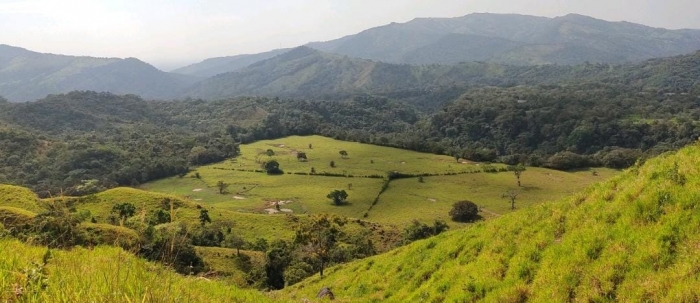 “El Tucán” será el nombre de la ecoreserva de Ecopetrol en Aguazul, Casanare