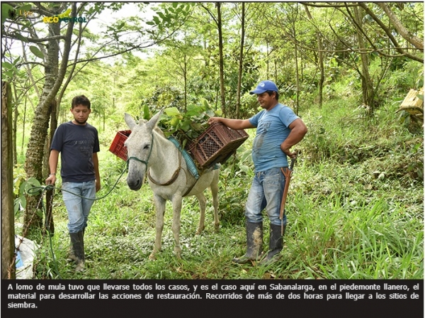 Investigación científica hace significativos hallazgos en biodiversidad en cinco zonas del país