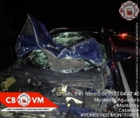 “La culpa fue de la vaca”: En Monterrey un vehículo se estrelló contra un semoviente que se encontraba en la vía