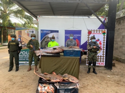 Golpe a banda dedicada al contrabando de alimentos en Arauca