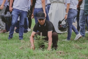 En Yopal se sembraron 2990 árboles en durante 2024