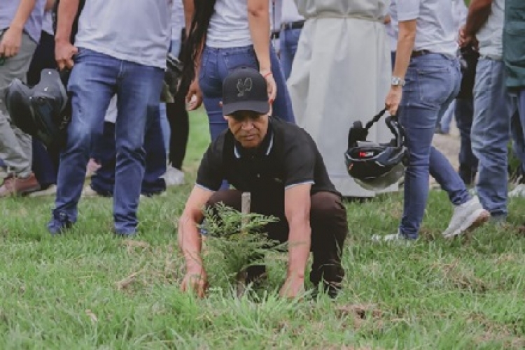 En Yopal se sembraron 2990 árboles en durante 2024