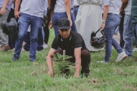 En Yopal se sembraron 2990 árboles en durante 2024